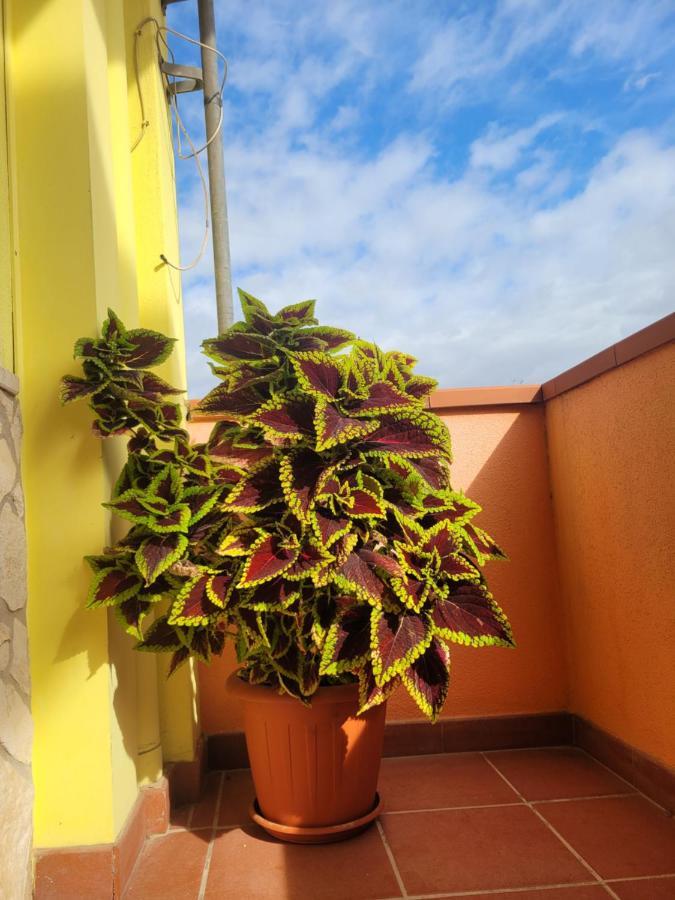 Butterflyhouse Villa Monserrato Bagian luar foto